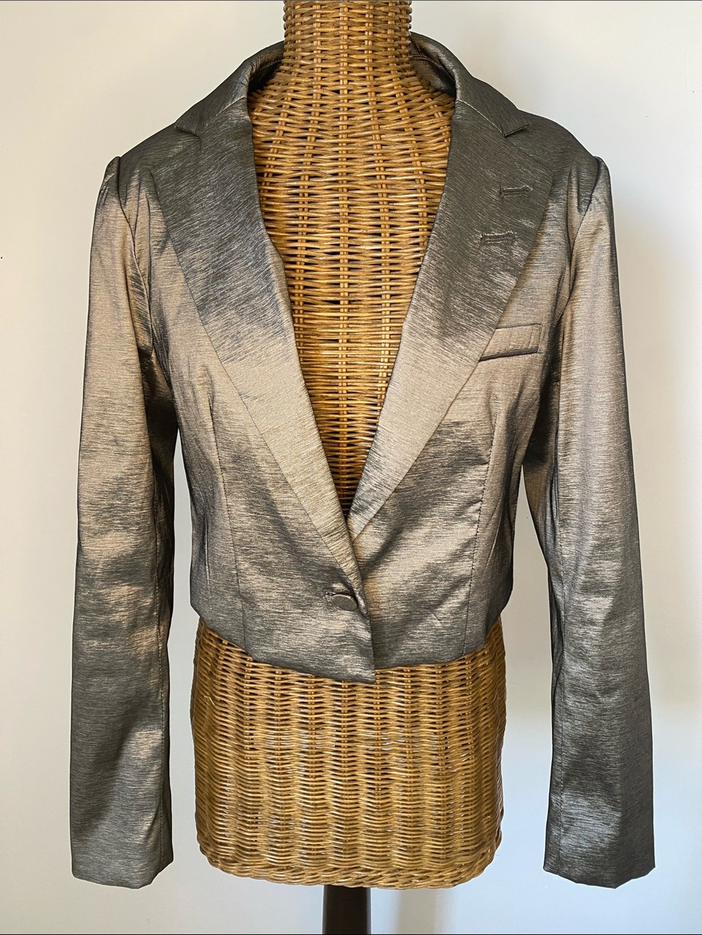 House of Harlow 1960 Silver Cropped Blazer